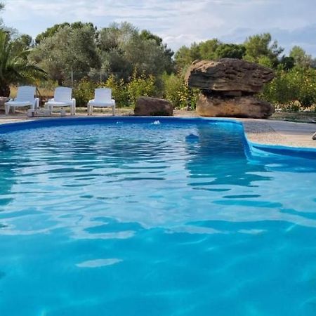 Casa Con Vistas, Piscina Y Animales De Granja, La Caseta Tarragona Exteriér fotografie