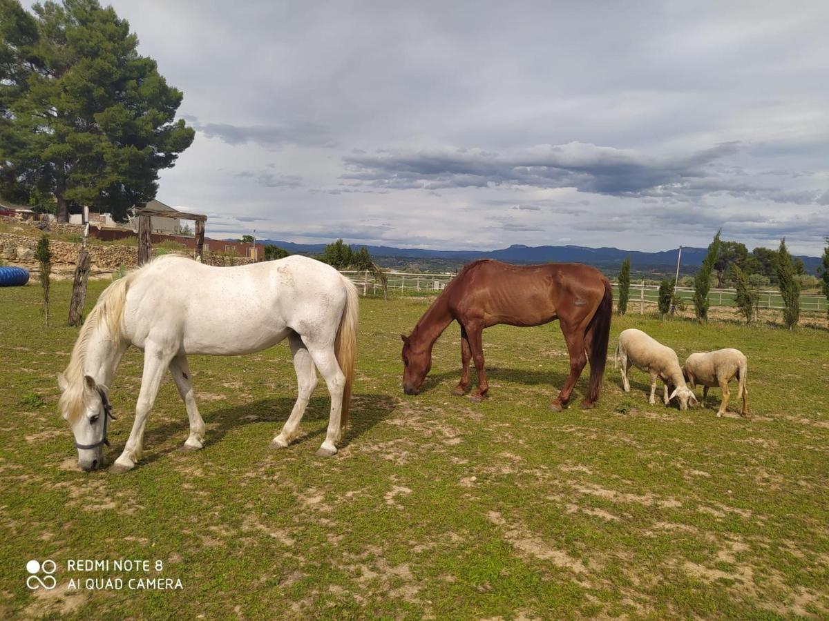 Casa Con Vistas, Piscina Y Animales De Granja, La Caseta Tarragona Exteriér fotografie