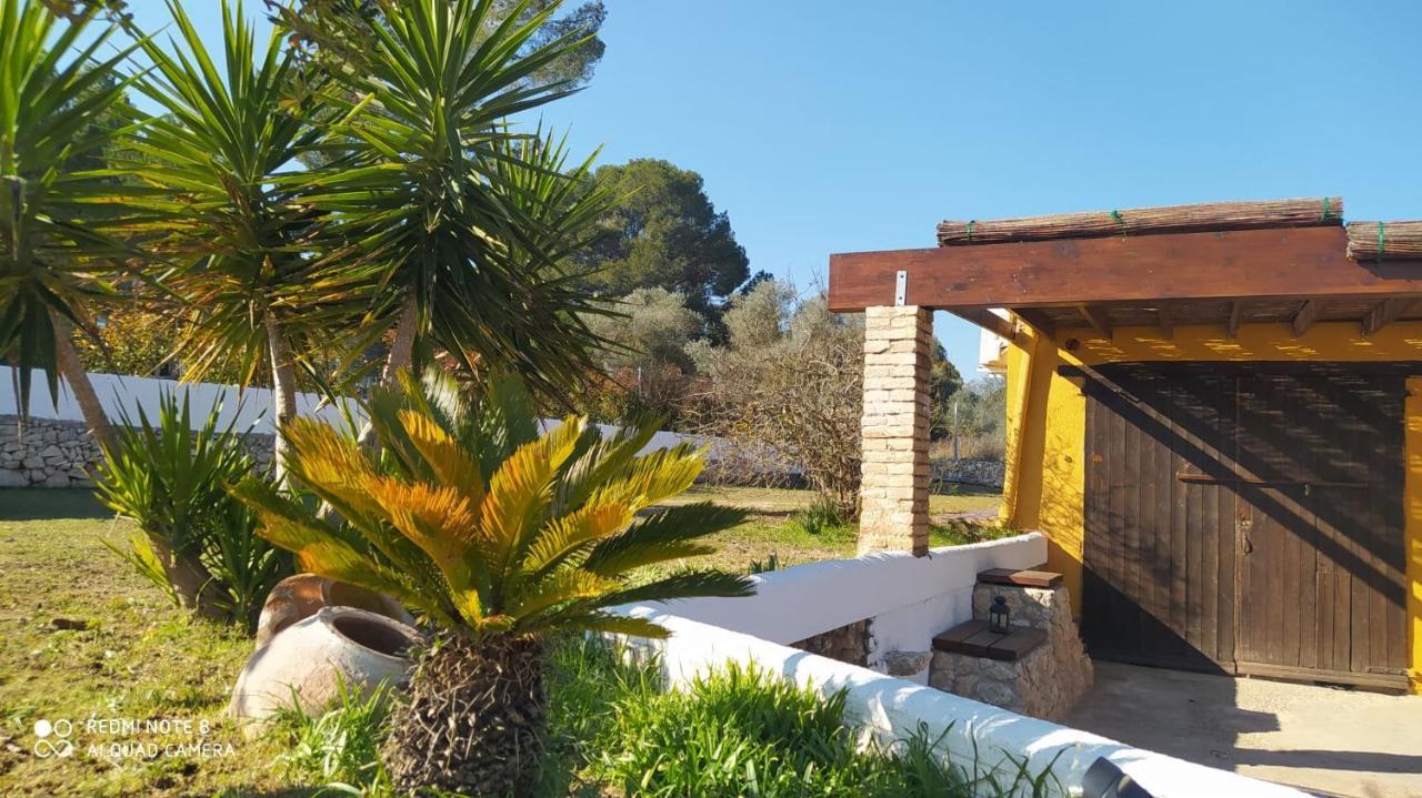 Casa Con Vistas, Piscina Y Animales De Granja, La Caseta Tarragona Exteriér fotografie