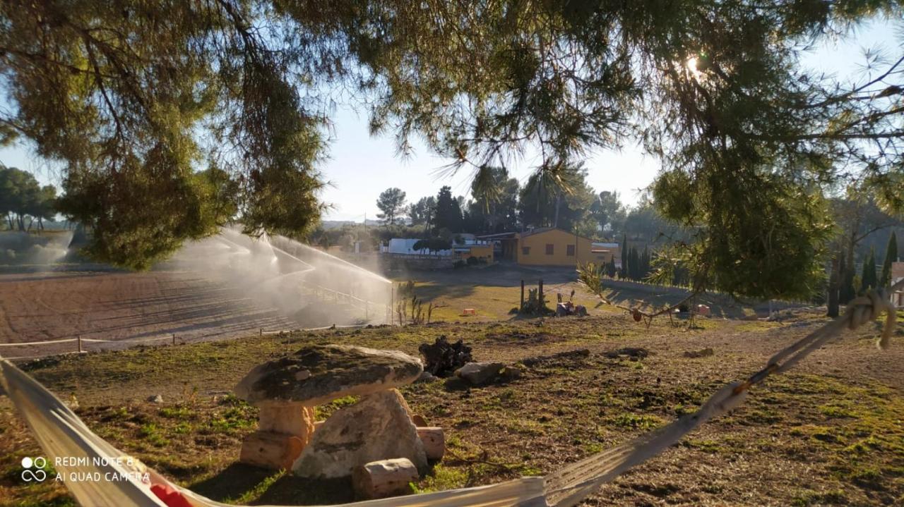 Casa Con Vistas, Piscina Y Animales De Granja, La Caseta Tarragona Exteriér fotografie