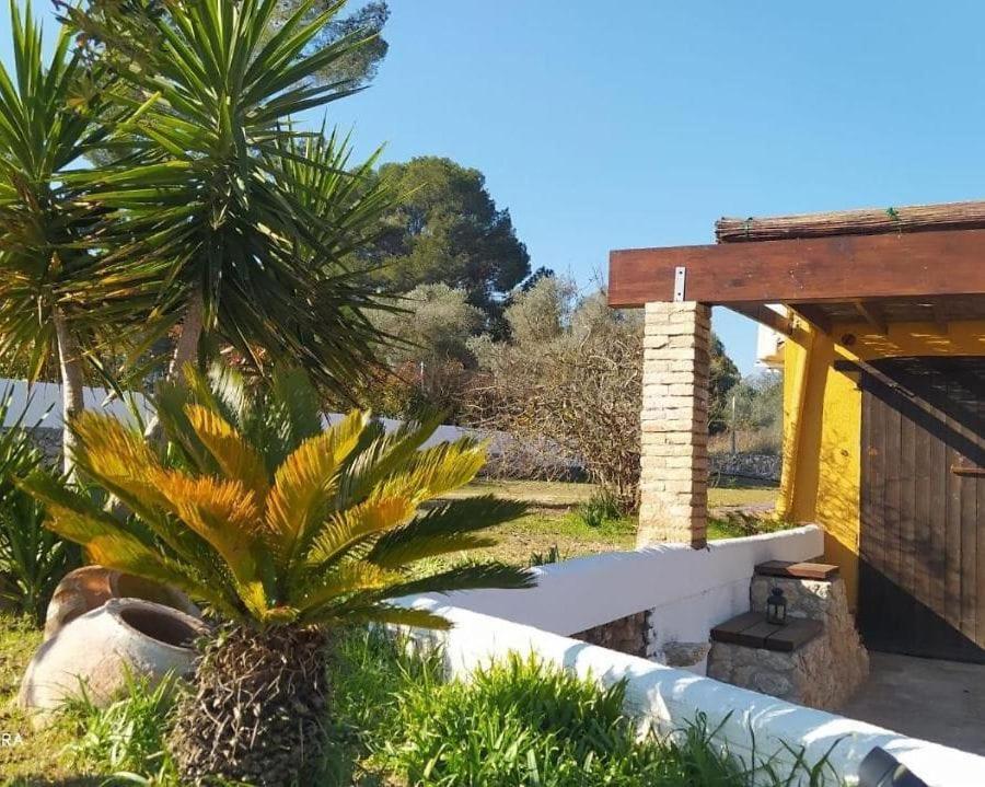 Casa Con Vistas, Piscina Y Animales De Granja, La Caseta Tarragona Exteriér fotografie